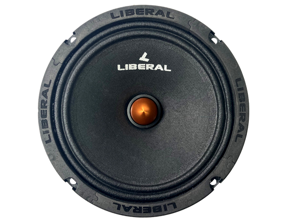 باند میدرنج Li-6610ZY