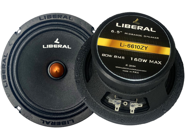 باند میدرنج Li-6610ZY