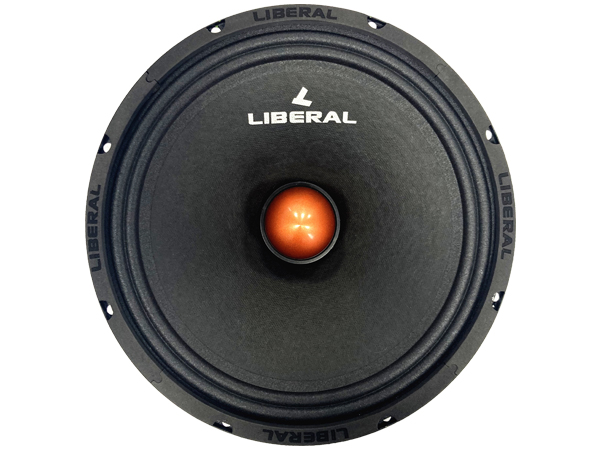 باند میدرنج Li-10200ZY