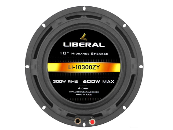 باند میدرنج Li-10300ZY