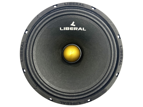 باند میدرنج Li-10300ZY