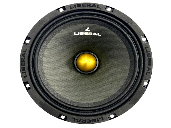 باند میدرنج Li-8301ZY
