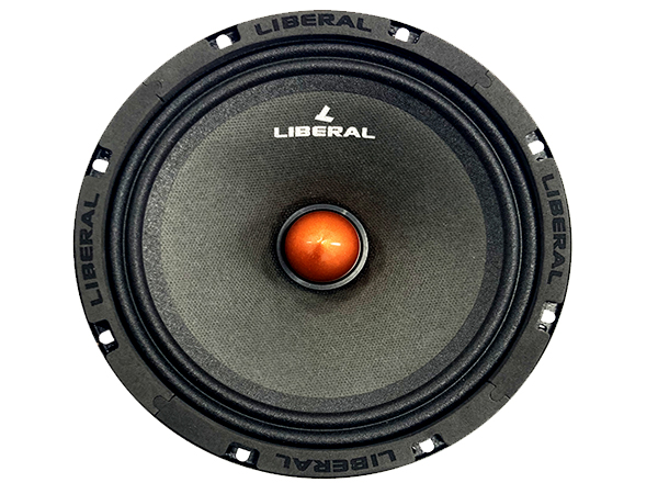 باند میدرنج Li-8401ZY
